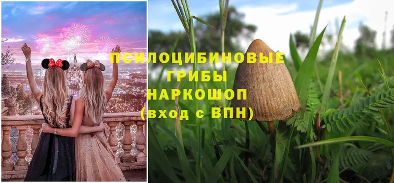 Галлюциногенные грибы Magic Shrooms  Слюдянка 